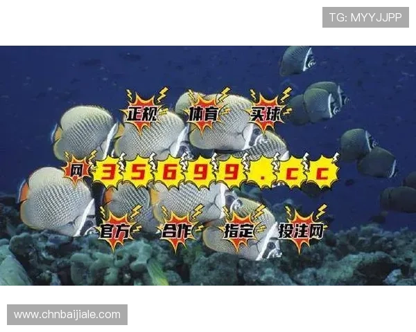 BG视讯怎么样提供哪些特色玩法和优惠活动，帮助玩家做出选择